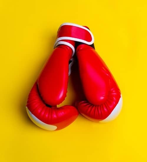 Gala boxe Amateur et professionnelle à La cotonne (42) le 25 mai 2024