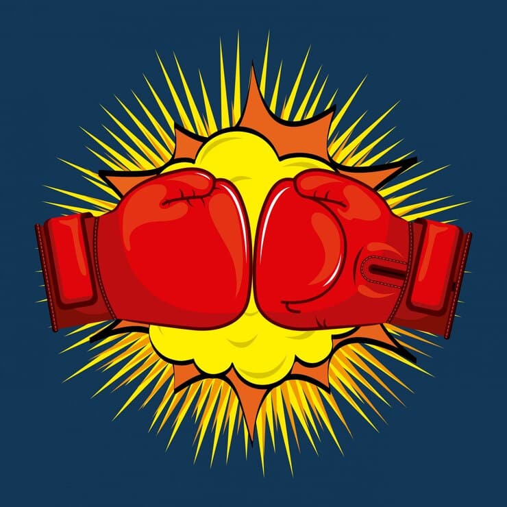JEUNESSE BOXE FEYZINOISE